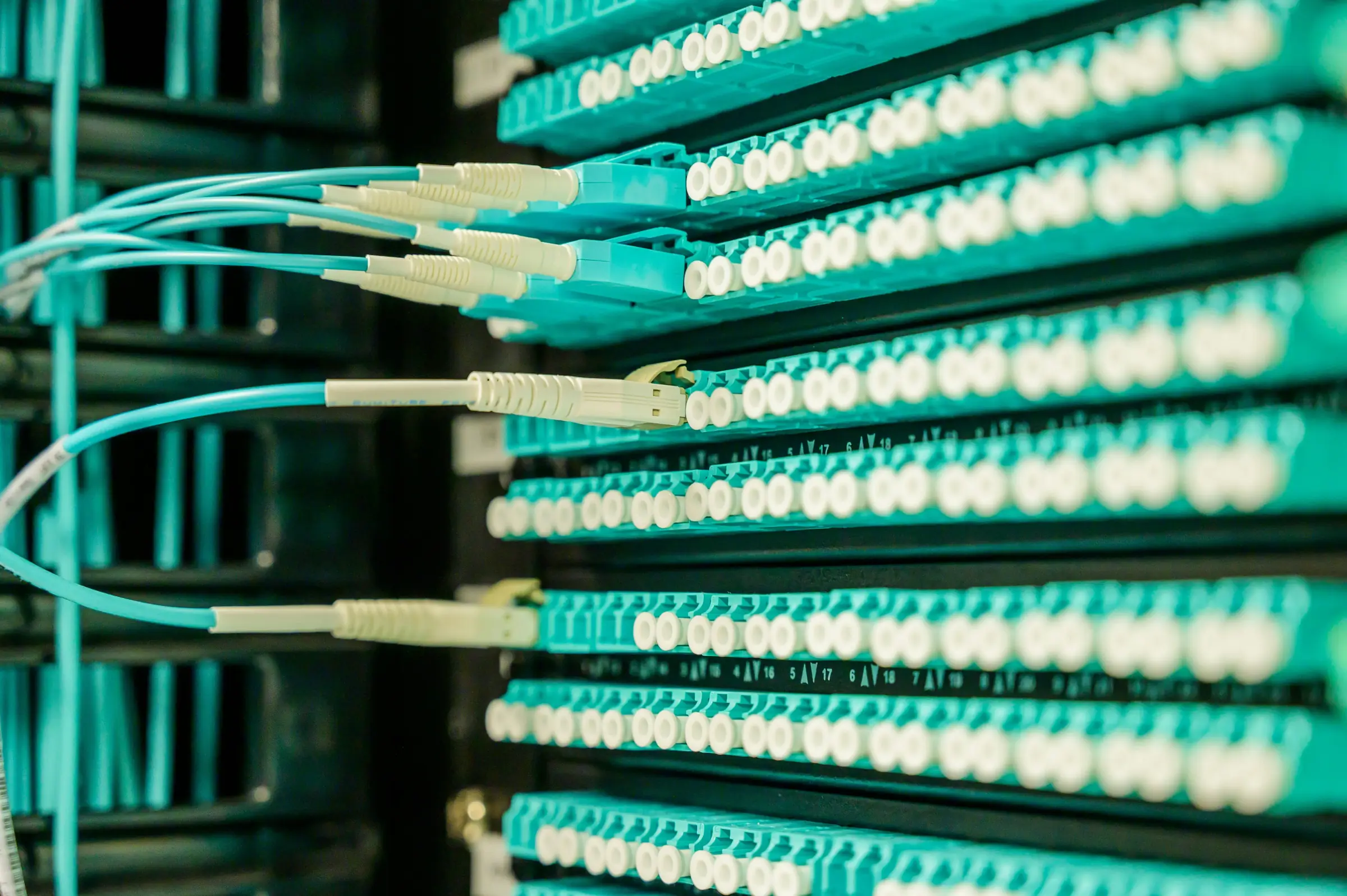 Structured cabling and network infrastructure for Halton Hills businesses